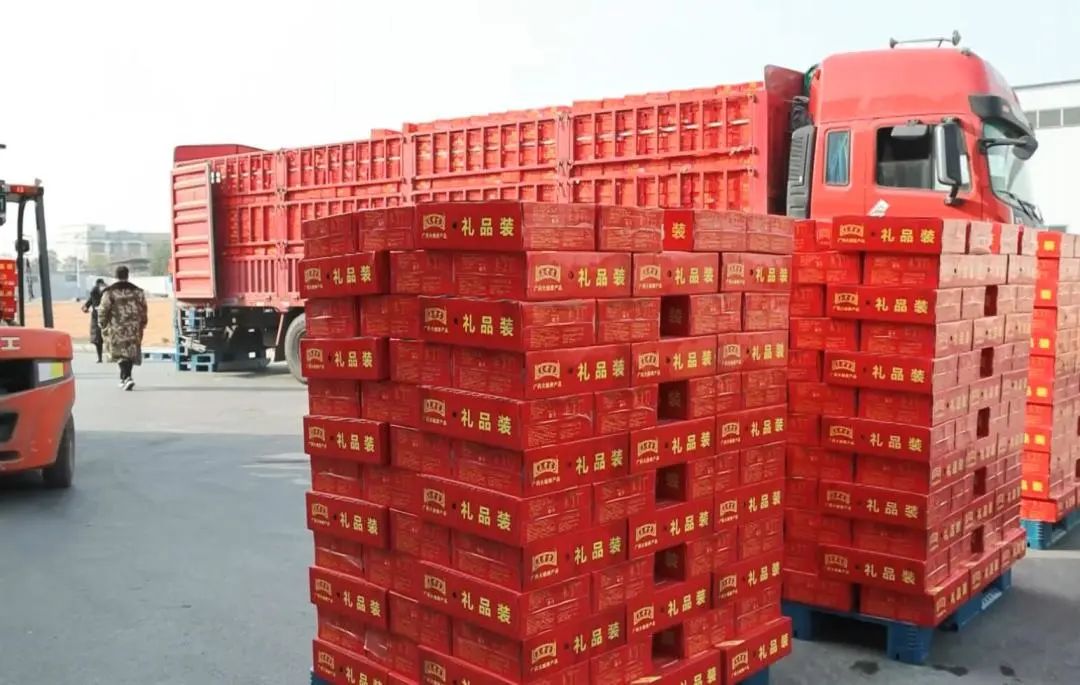 ϼ󽡿a(chn)I(y)@_(ki)Ræa(chn) ȫ_̡_(ki)T(mn)t