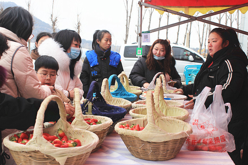 ݮhc´ | f(zhn)ɽڲݮժȤweζ