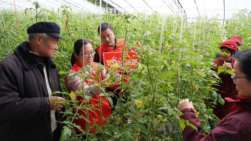 l(xing)d | Ѕ^(q)·ֵՈr(nng)_չNֲg(sh)ָ