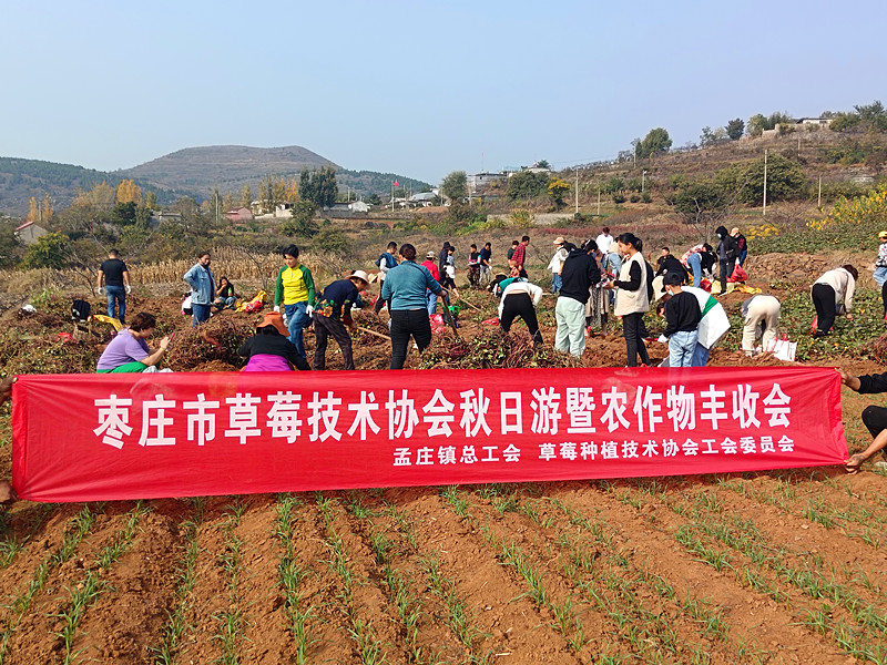 Ѕ^(q)ݮNֲg(sh)f(xi)_չȤζڼt l(xing)d