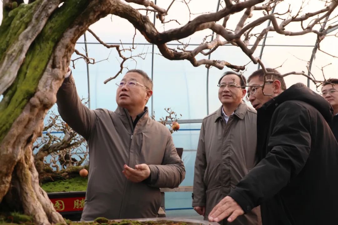 fίӛίӛށFǅ^(q){(dio)ʯa(chn)I(y)l(f)չ