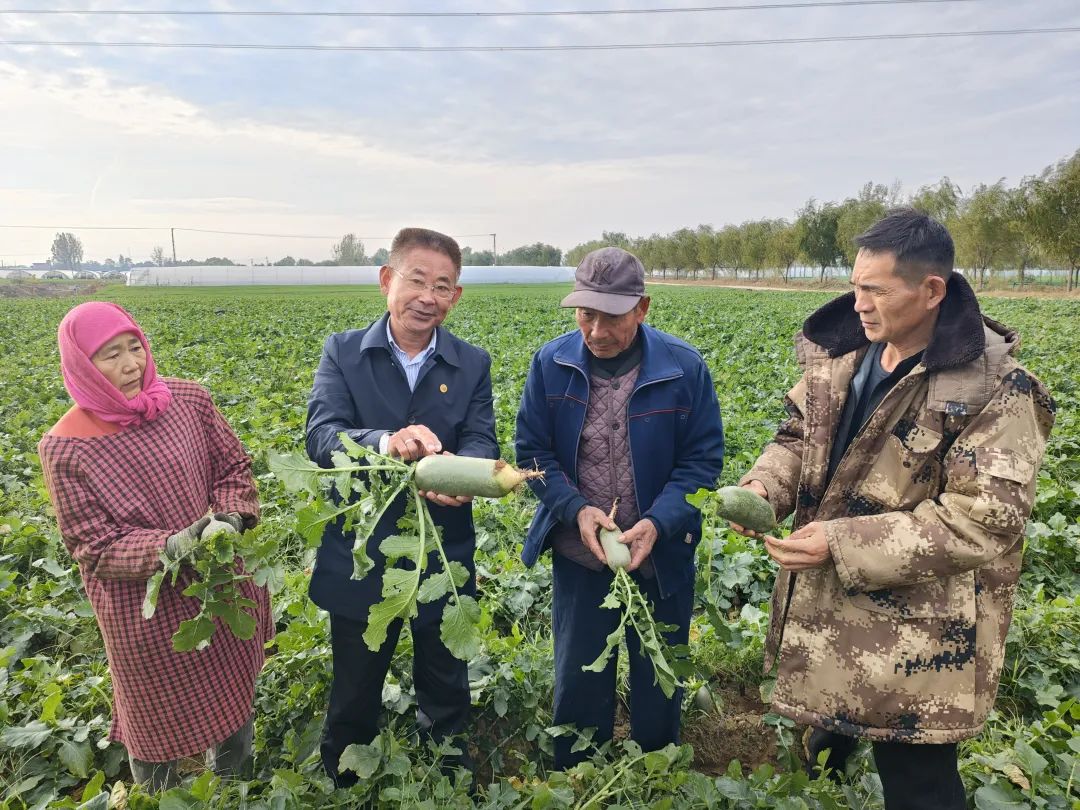 Lrf(xi)ίTֱɳ}պζ